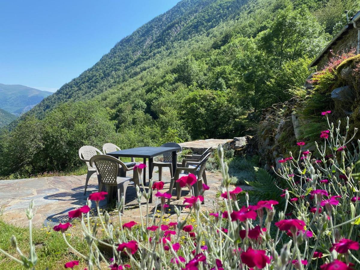 Grange Renovee, Pyrenees Ariegeoises, Gite Haute Ariege Auzat Dış mekan fotoğraf